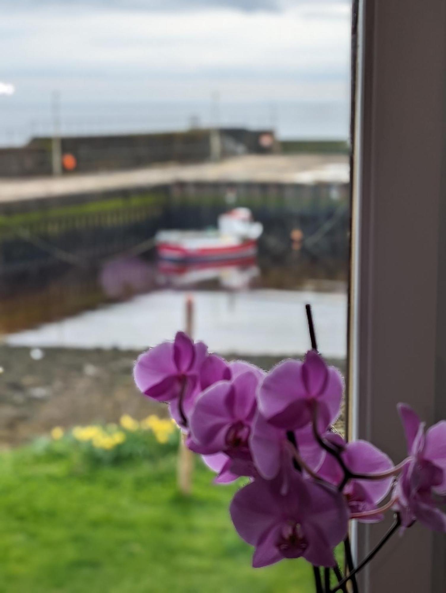 Sea Song, Selkie House Bed & Breakfast Helmsdale Luaran gambar