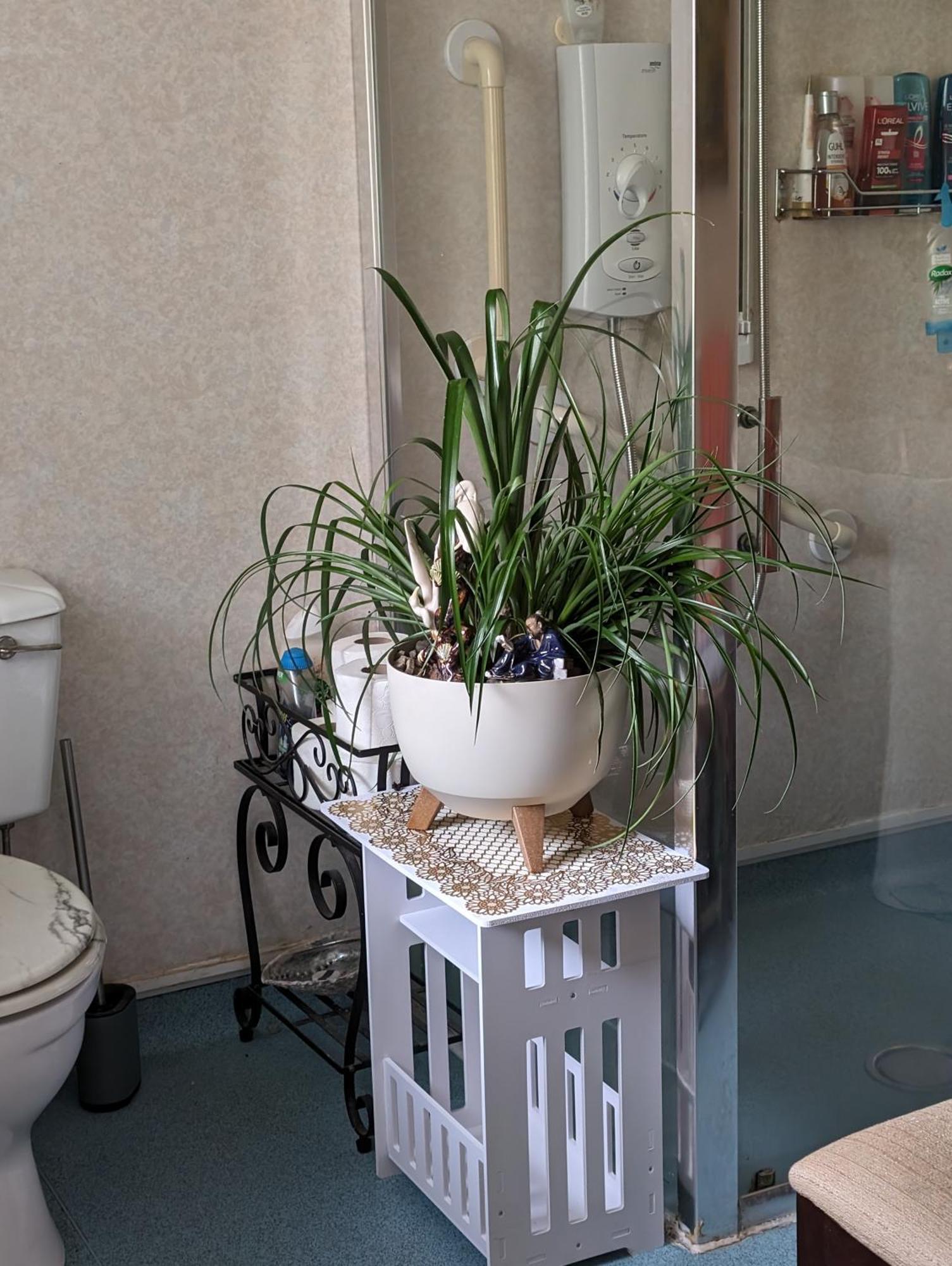 Sea Song, Selkie House Bed & Breakfast Helmsdale Luaran gambar