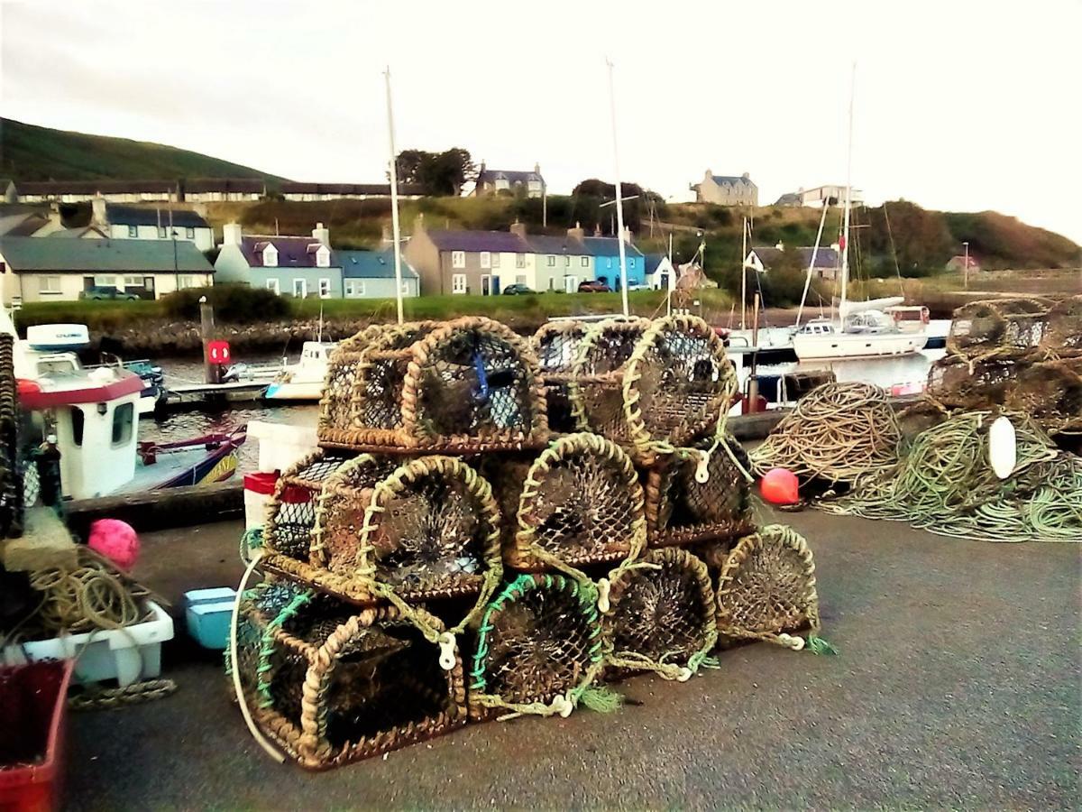 Sea Song, Selkie House Bed & Breakfast Helmsdale Luaran gambar