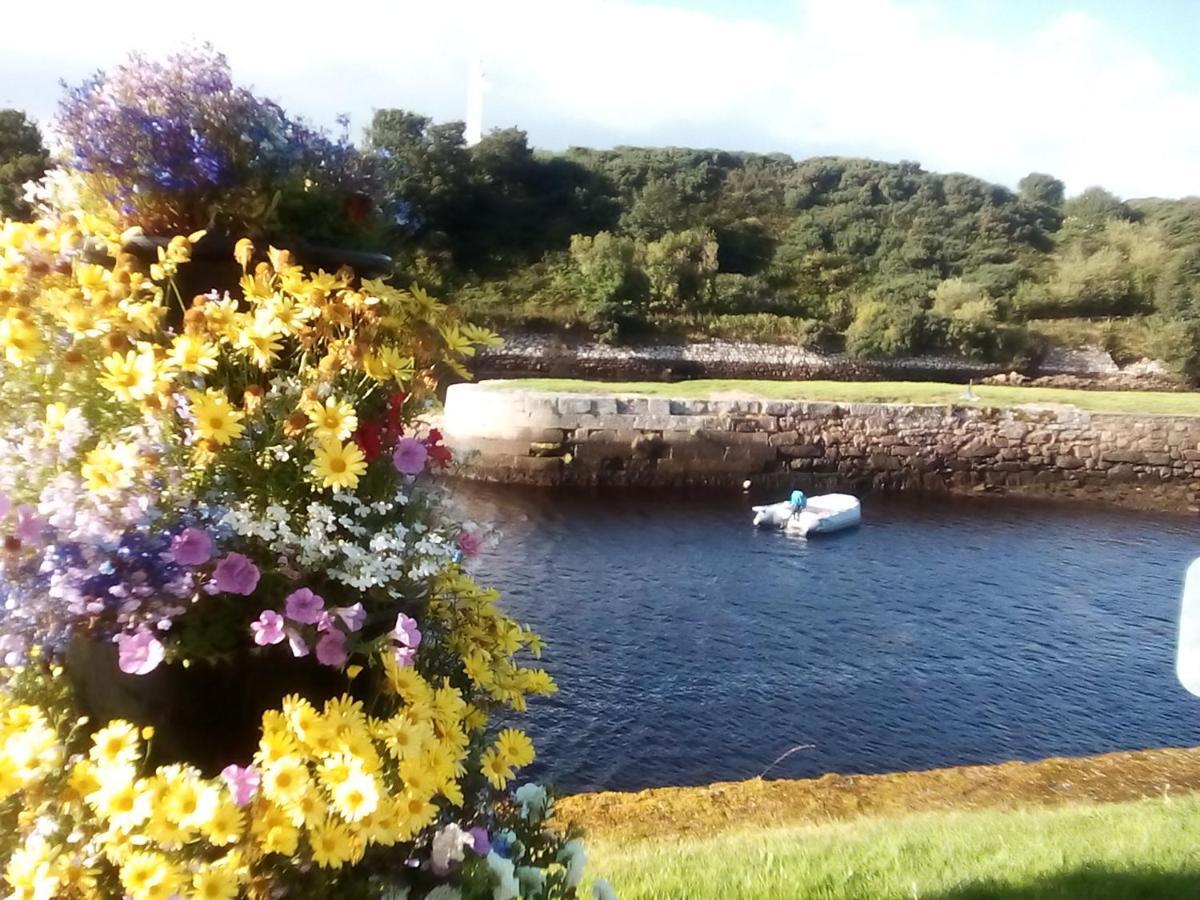 Sea Song, Selkie House Bed & Breakfast Helmsdale Luaran gambar