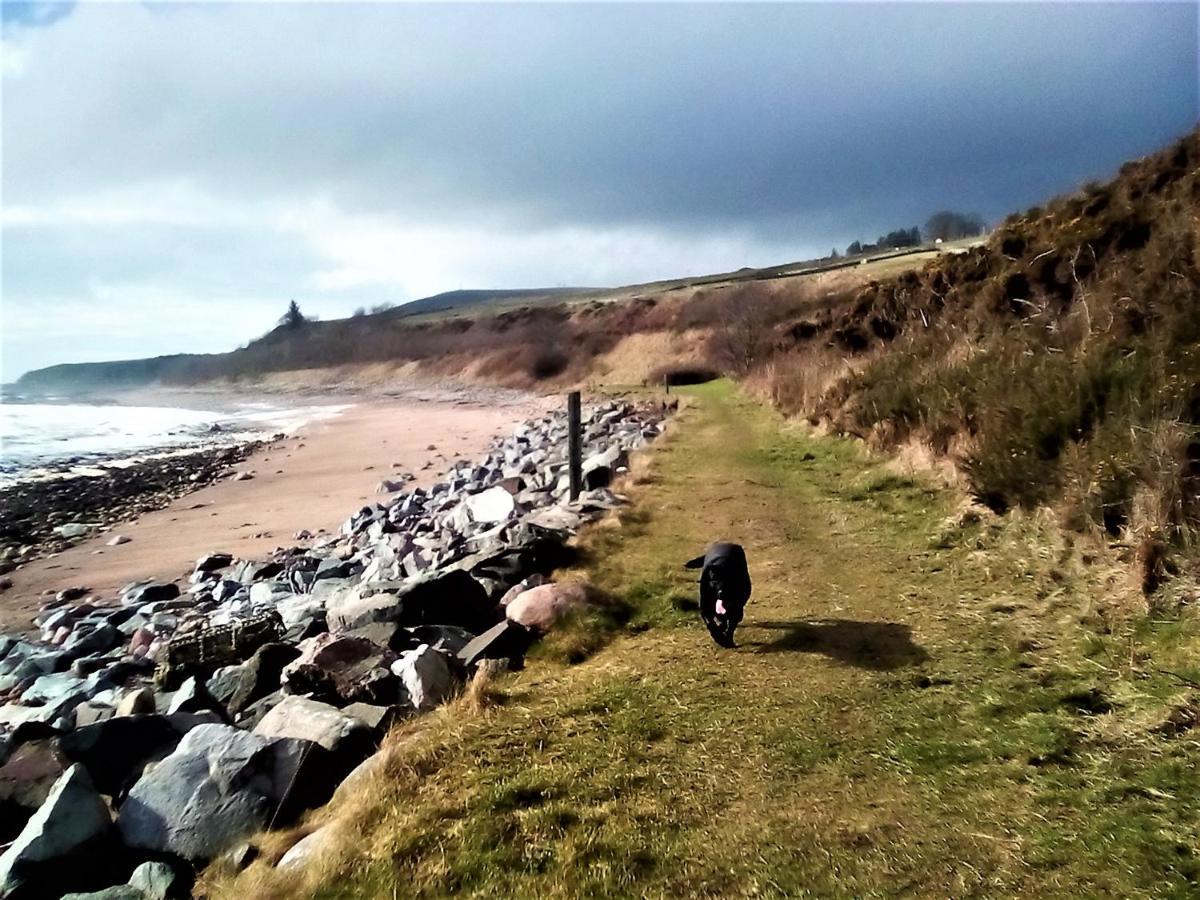 Sea Song, Selkie House Bed & Breakfast Helmsdale Luaran gambar